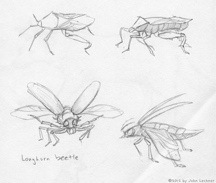 insect drawings by John Lechner